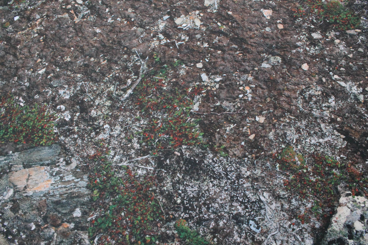 Gray Matter Gaming Gaming Mat 44x60 Muddy Battlefield - Neoprene Battle Mat with Bag