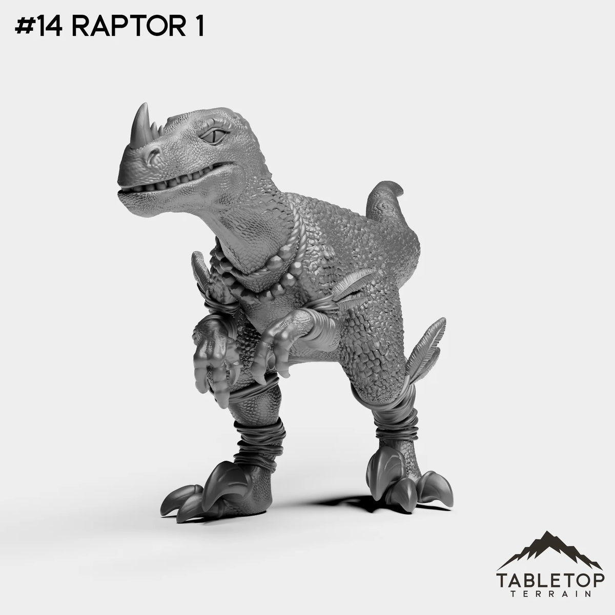 #14 Raptor 1