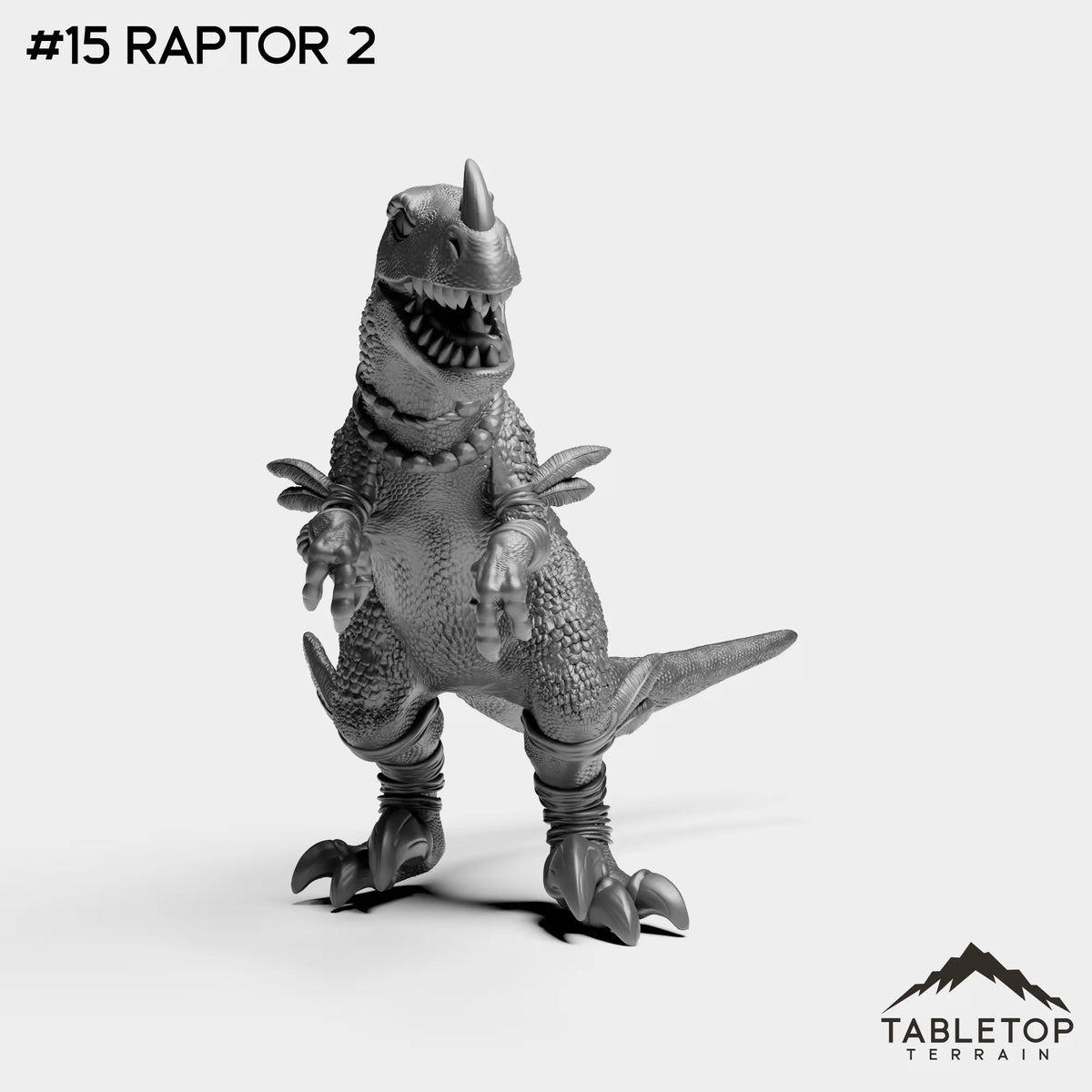 #15 Raptor 2