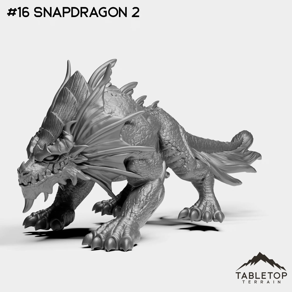 #16 Snapdragon 2