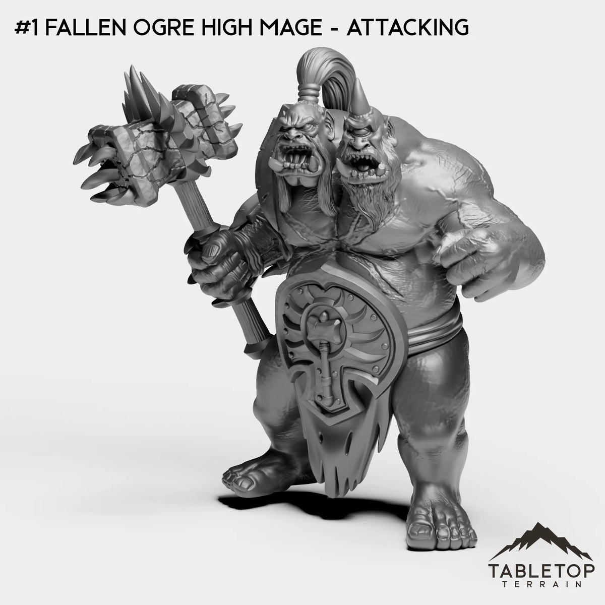 #1 Fallen Ogre High Mage - Attacking