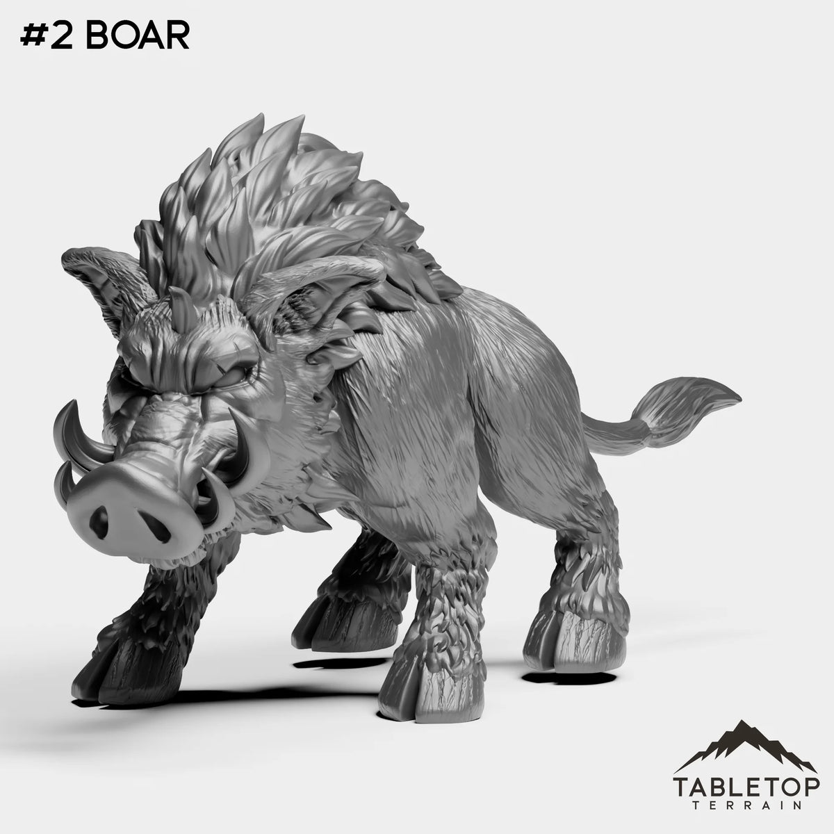 #2 Boar