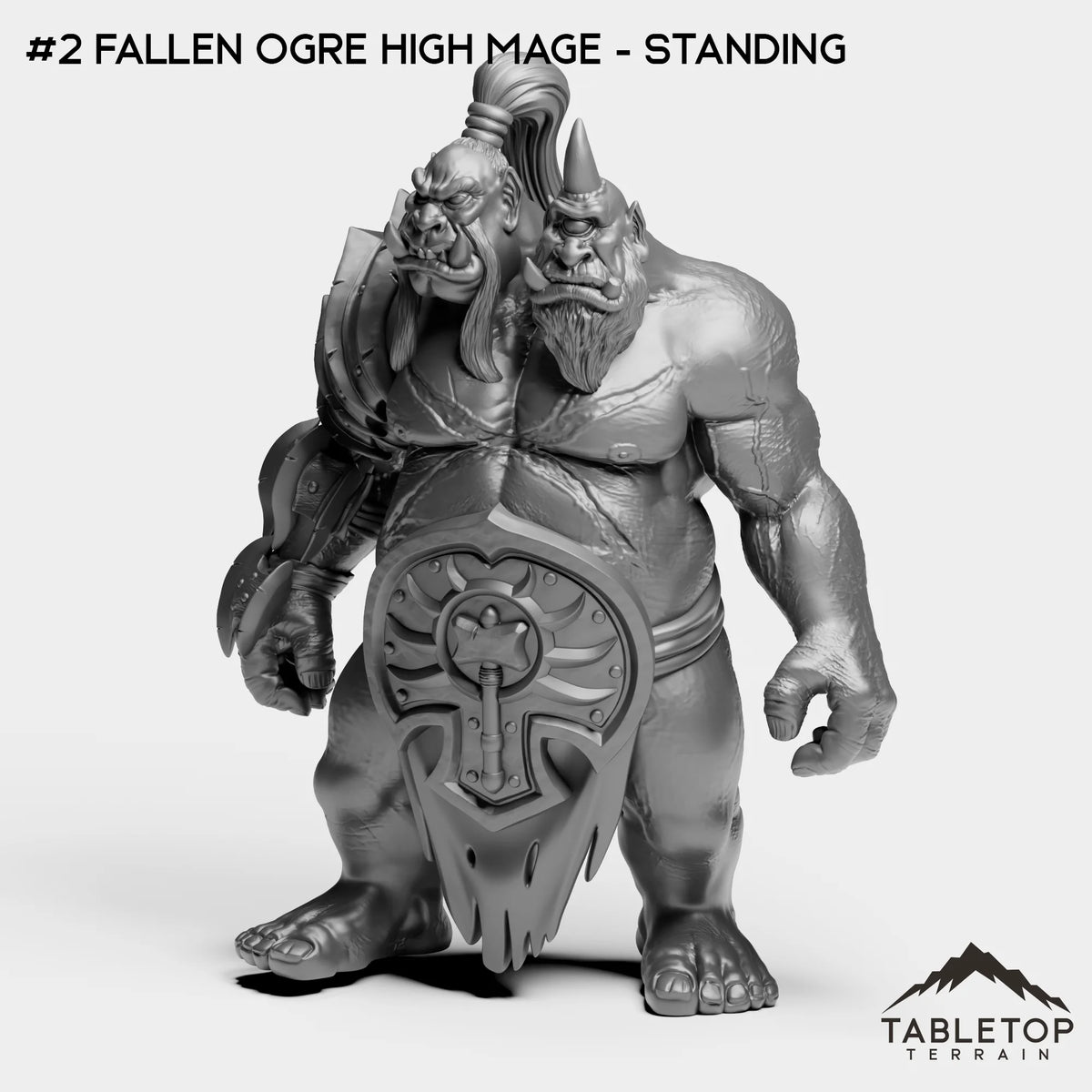 #2 Fallen Ogre High Mage - Standing