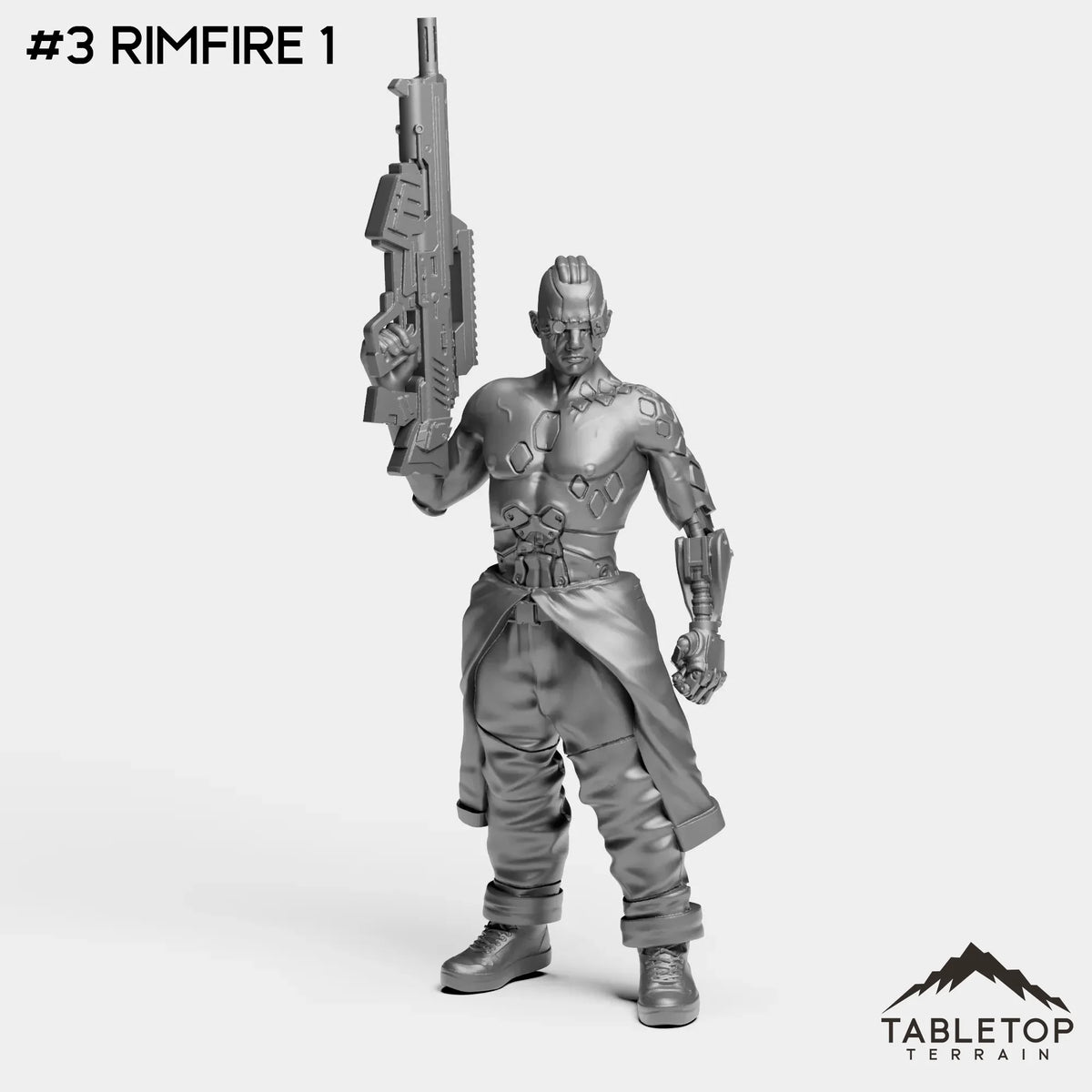 #3 RimFire 1