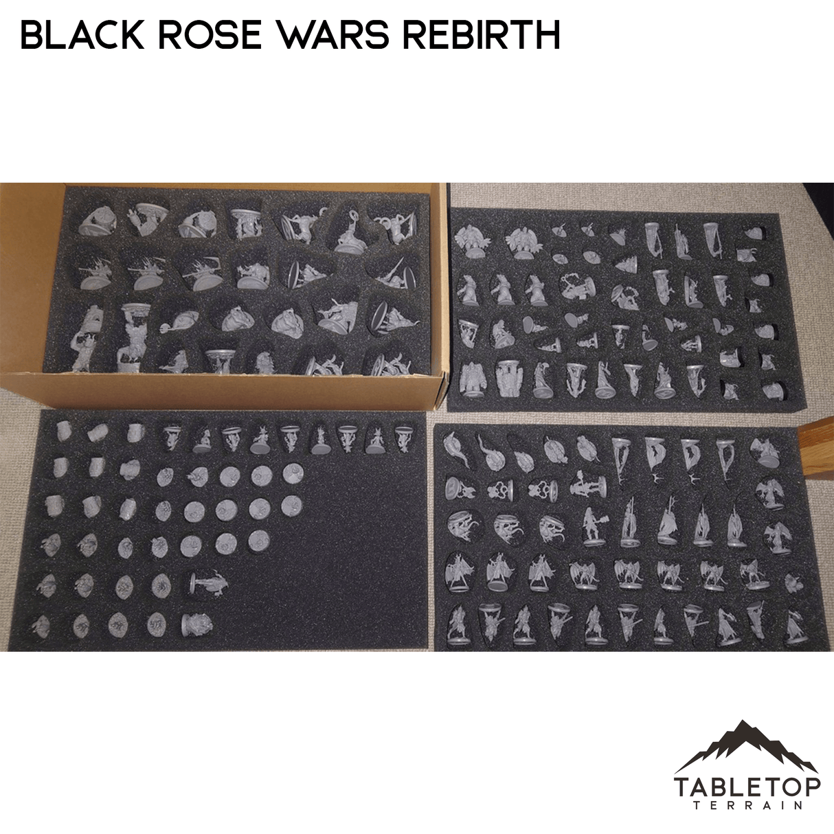 Tabletop Terrain Board Game Insert Black Rose Wars and Rebirth Board Game Insert / Organizer