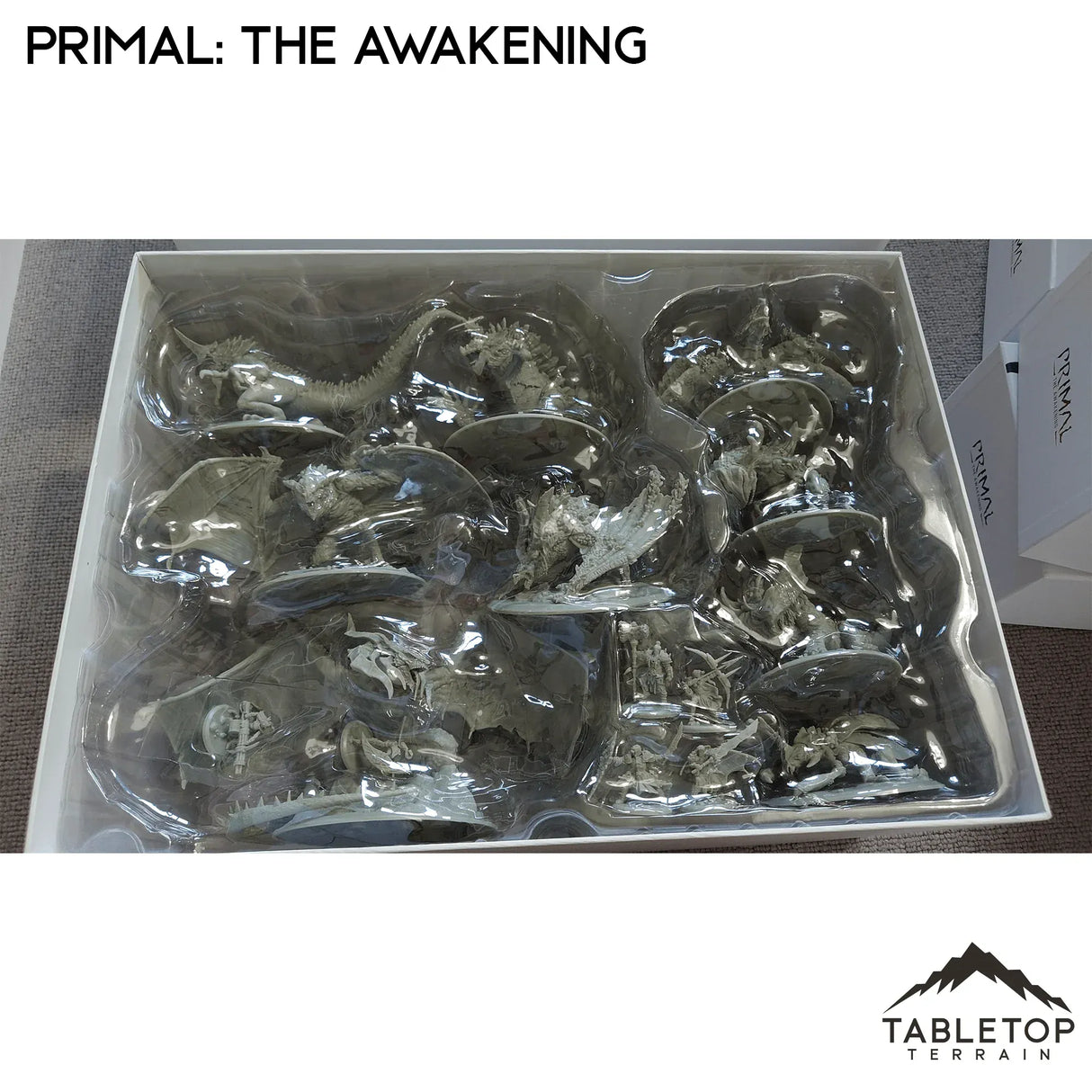 Tabletop Terrain Board Game Insert Primal: The Awakening Board Game Insert / Organizer