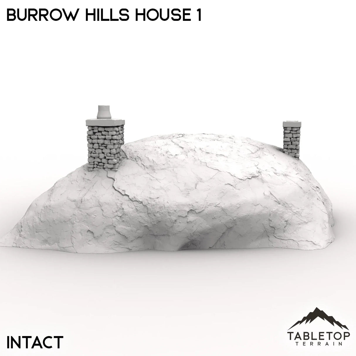 Tabletop Terrain Building Burrow Hills House 1