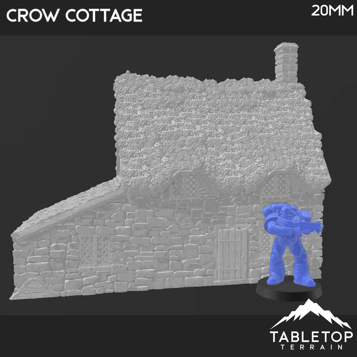 Tabletop Terrain Building Crow Cottage - Country & King - Fantasy Historical Building