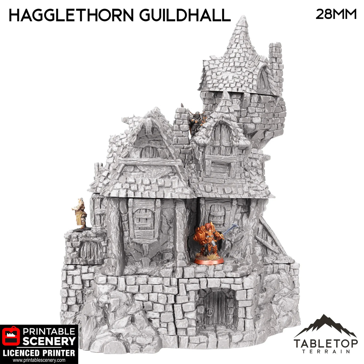 Tabletop Terrain Building Hagglethorn Guildhall - Hagglethorn Hollow - Fantasy Building