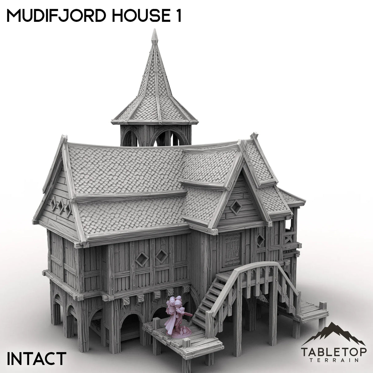 Tabletop Terrain Building Intact / 32mm Mudifjord House 1
