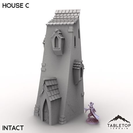 Tabletop Terrain Building Intact / 32mm Vexed Village - House C