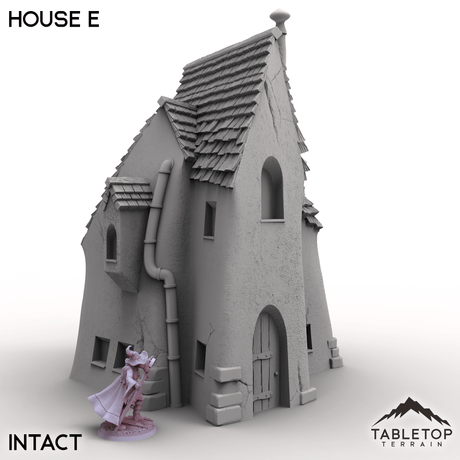 Tabletop Terrain Building Intact / 32mm Vexed Village - House E