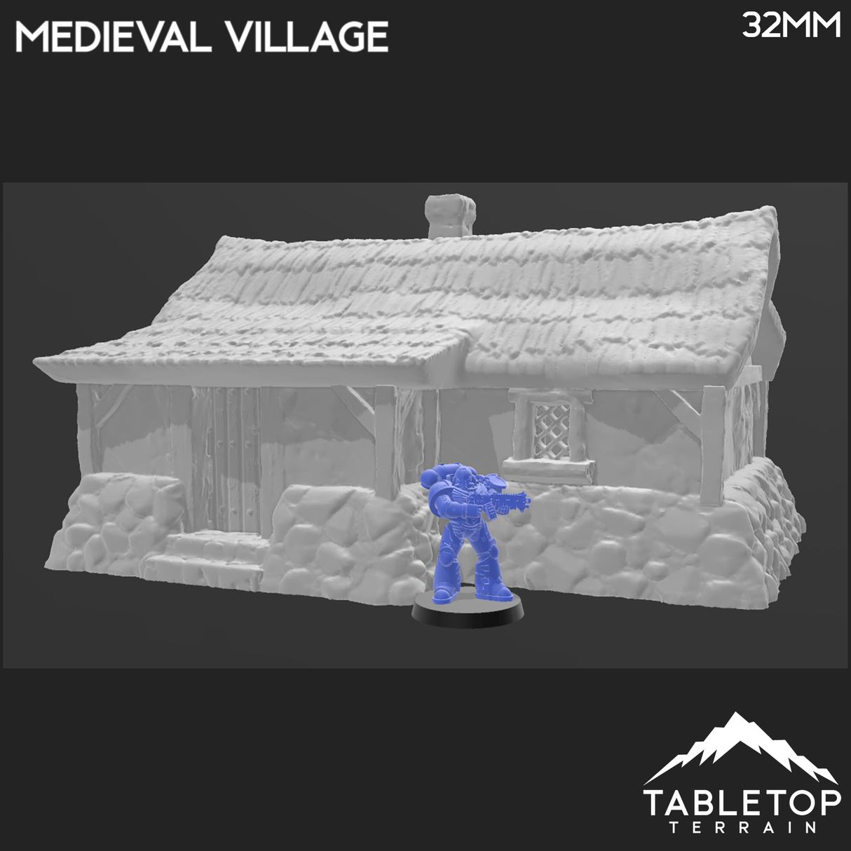 Tabletop Terrain Building Medieval Village