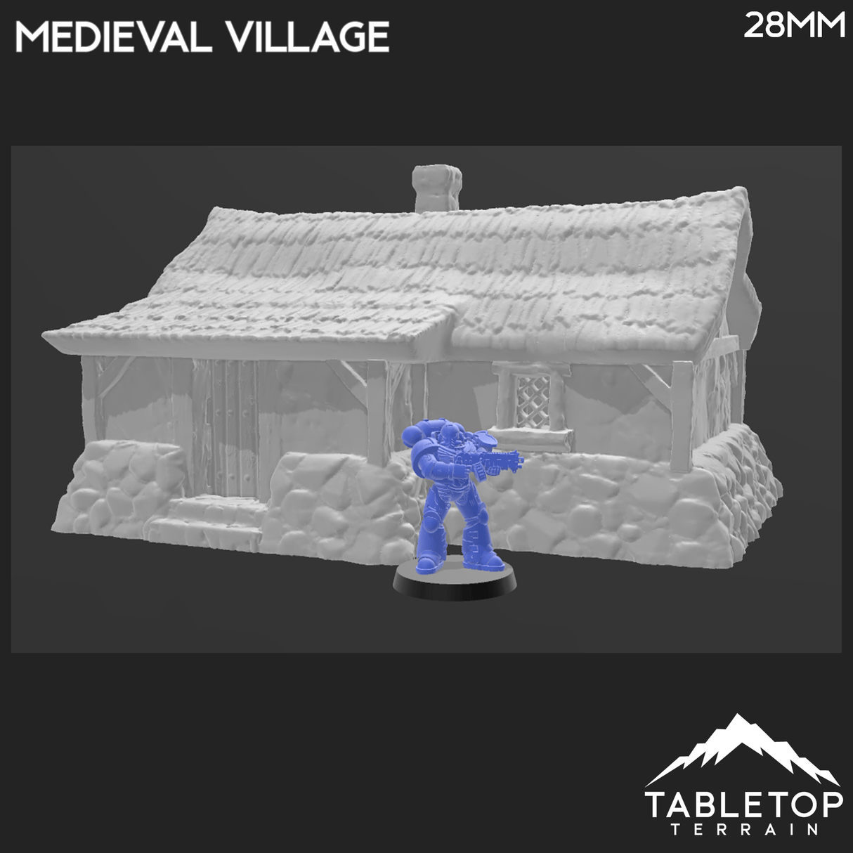 Tabletop Terrain Building Medieval Village