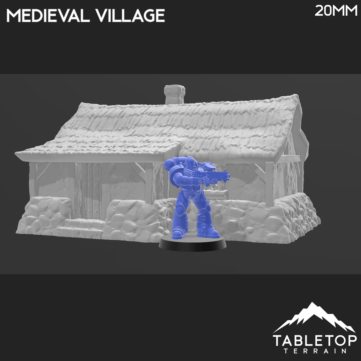 Tabletop Terrain Building Medieval Village