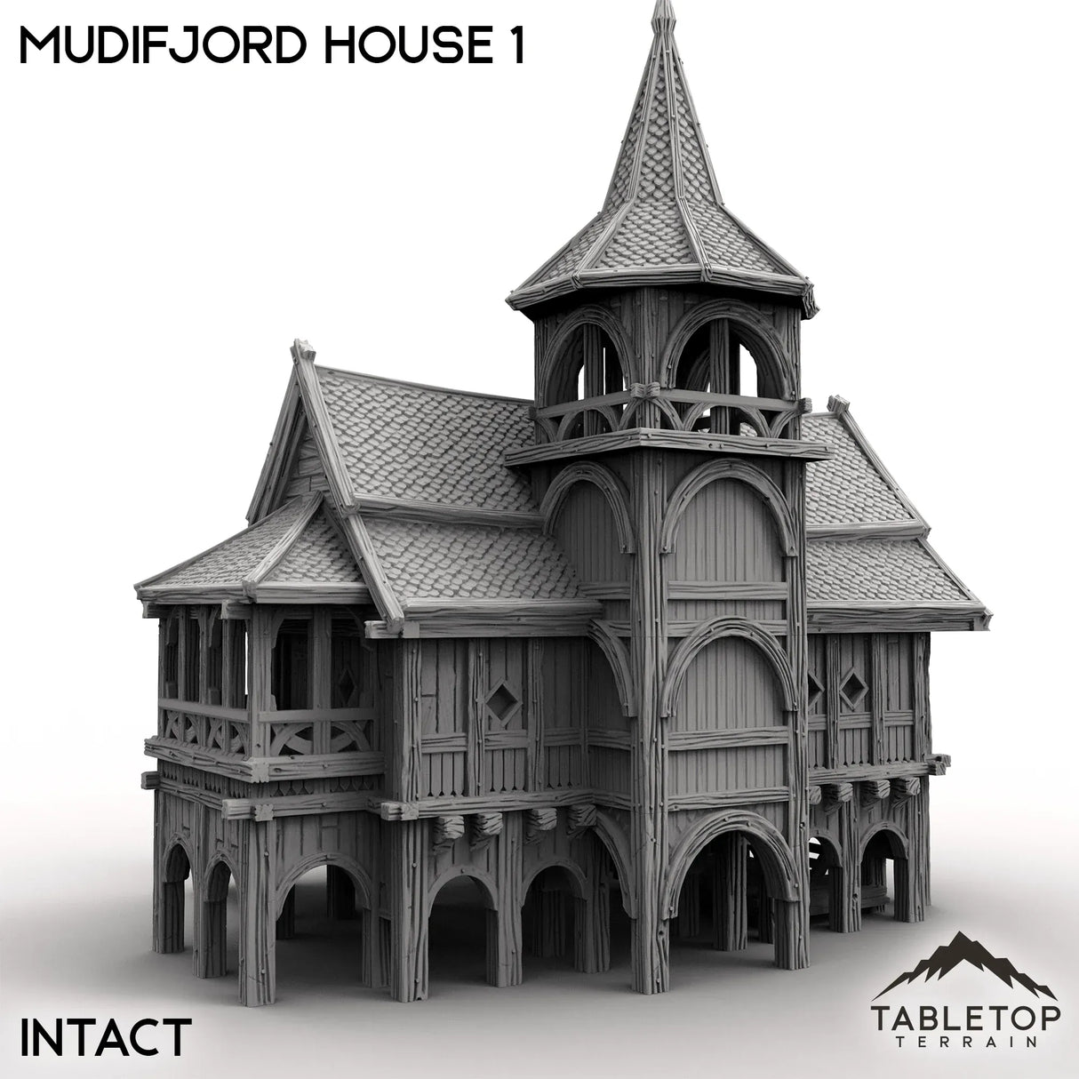 Tabletop Terrain Building Mudifjord House 1
