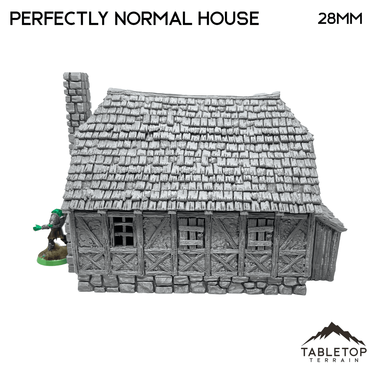 Tabletop Terrain Building Perfectly Normal House - Fantasy Building