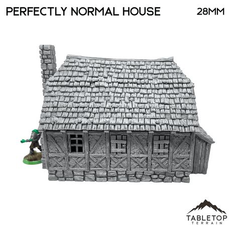 Tabletop Terrain Building Perfectly Normal House - Fantasy Building