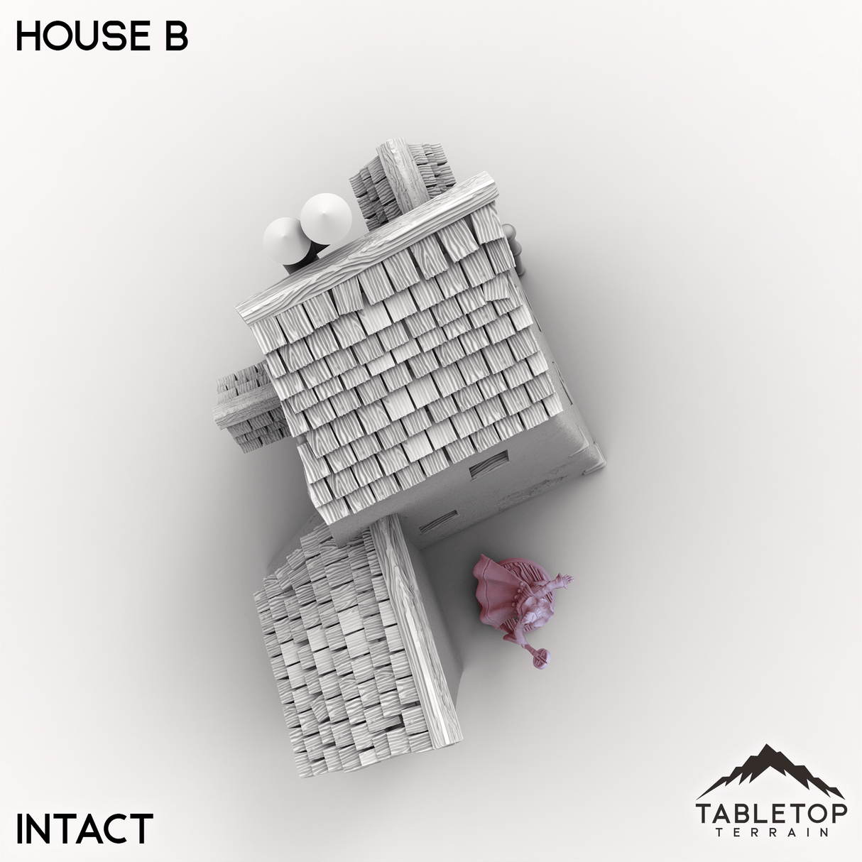 Tabletop Terrain Building Vexed Village - House B