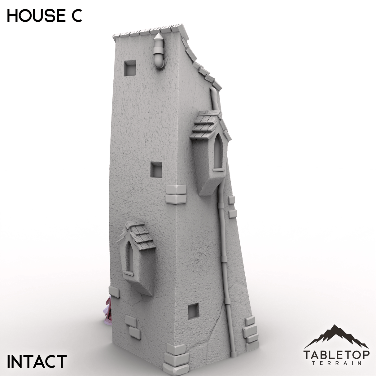 Tabletop Terrain Building Vexed Village - House C