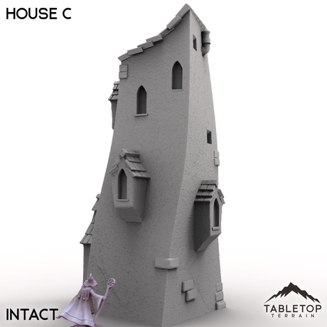 Tabletop Terrain Building Vexed Village - House C