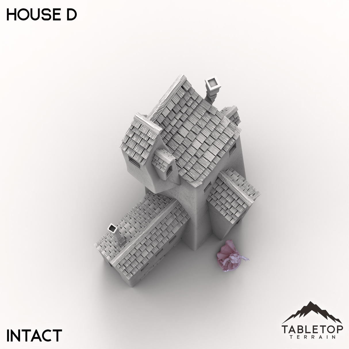 Tabletop Terrain Building Vexed Village - House D