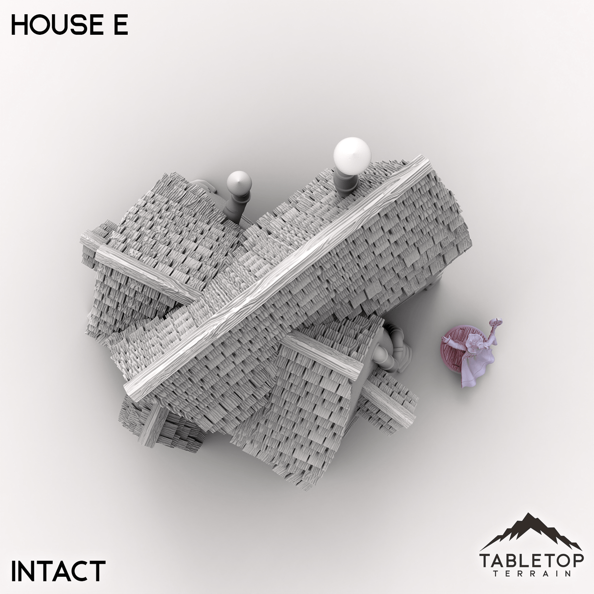Tabletop Terrain Building Vexed Village - House E