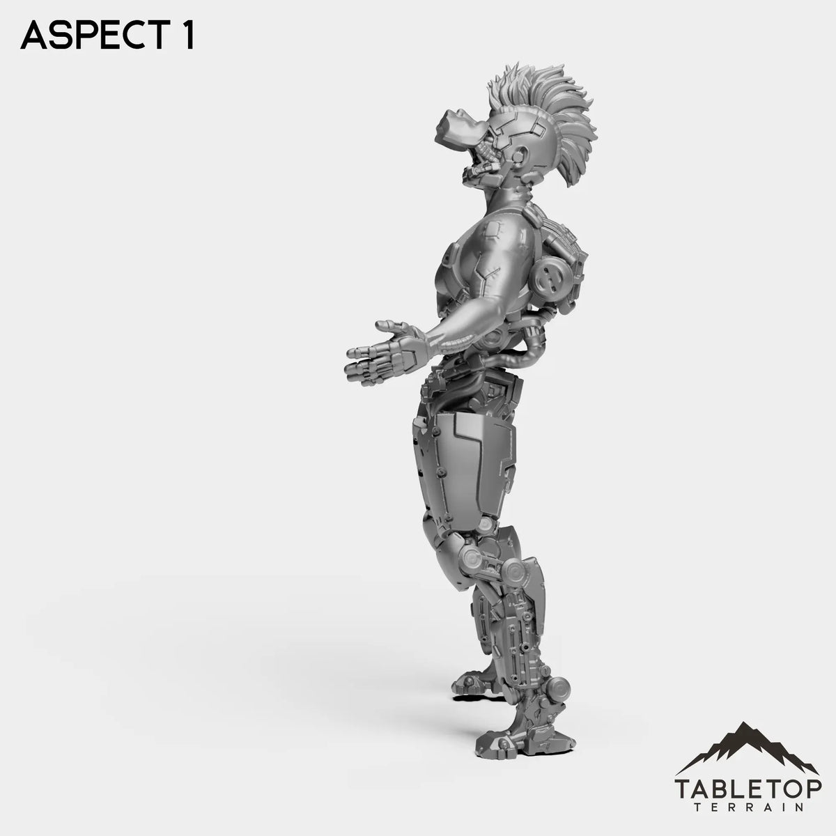 Tabletop Terrain Miniature Aspect - Metal Slammers