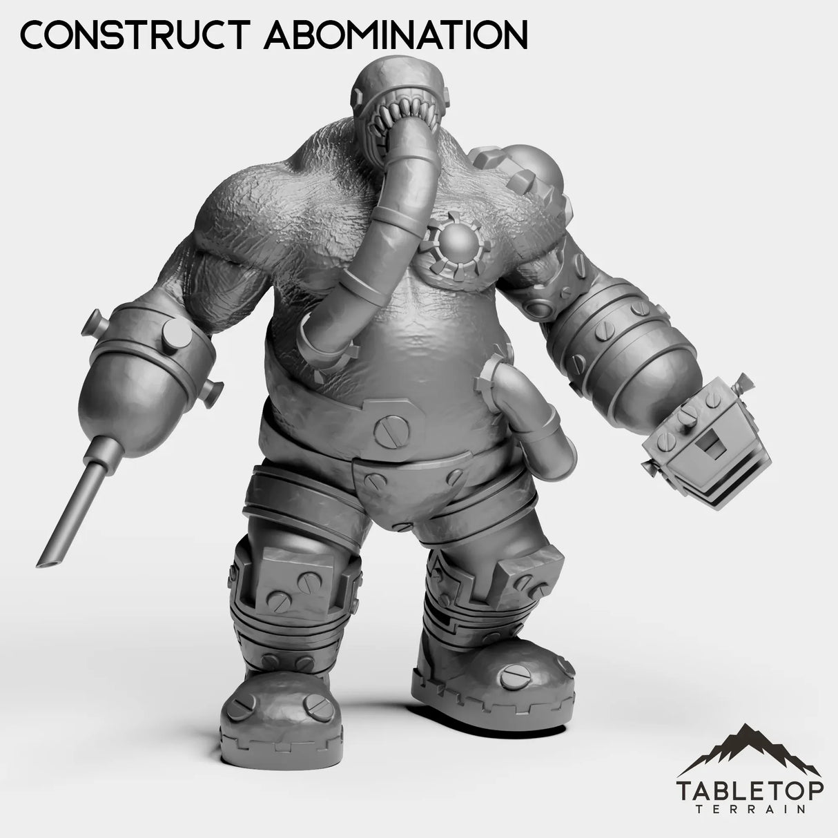 Tabletop Terrain Miniature Construct Abomination