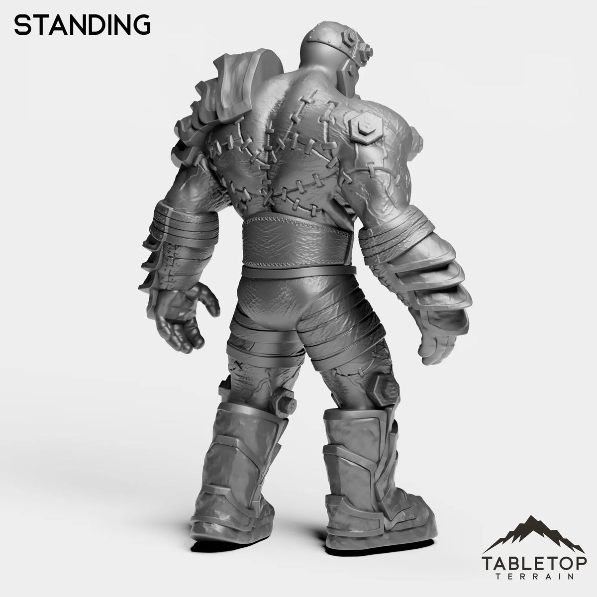 Tabletop Terrain Miniature Construct Leader
