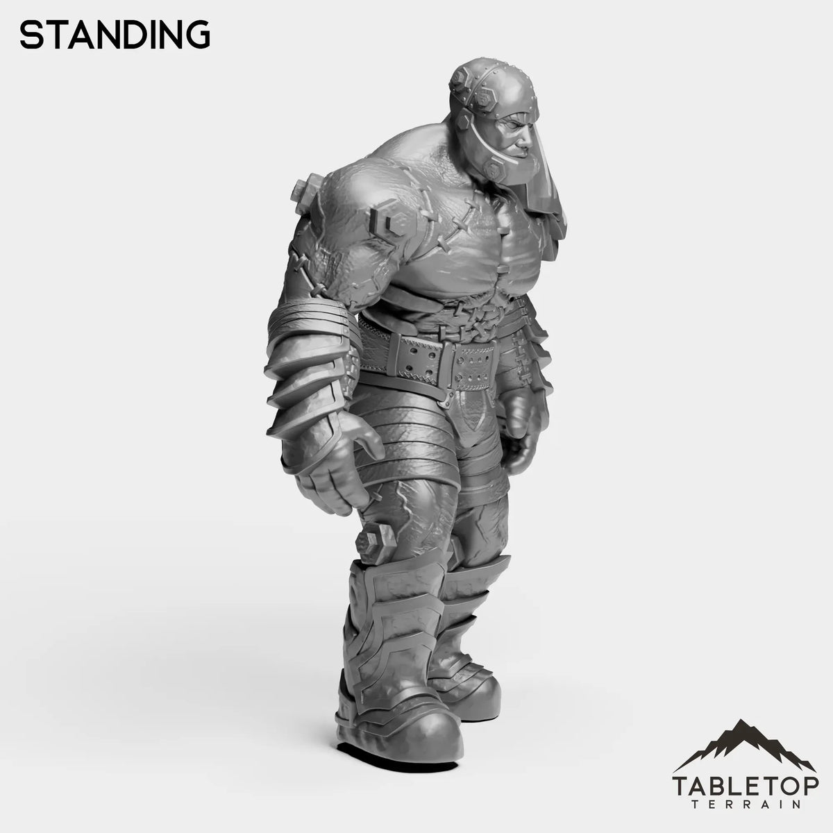 Tabletop Terrain Miniature Construct Leader
