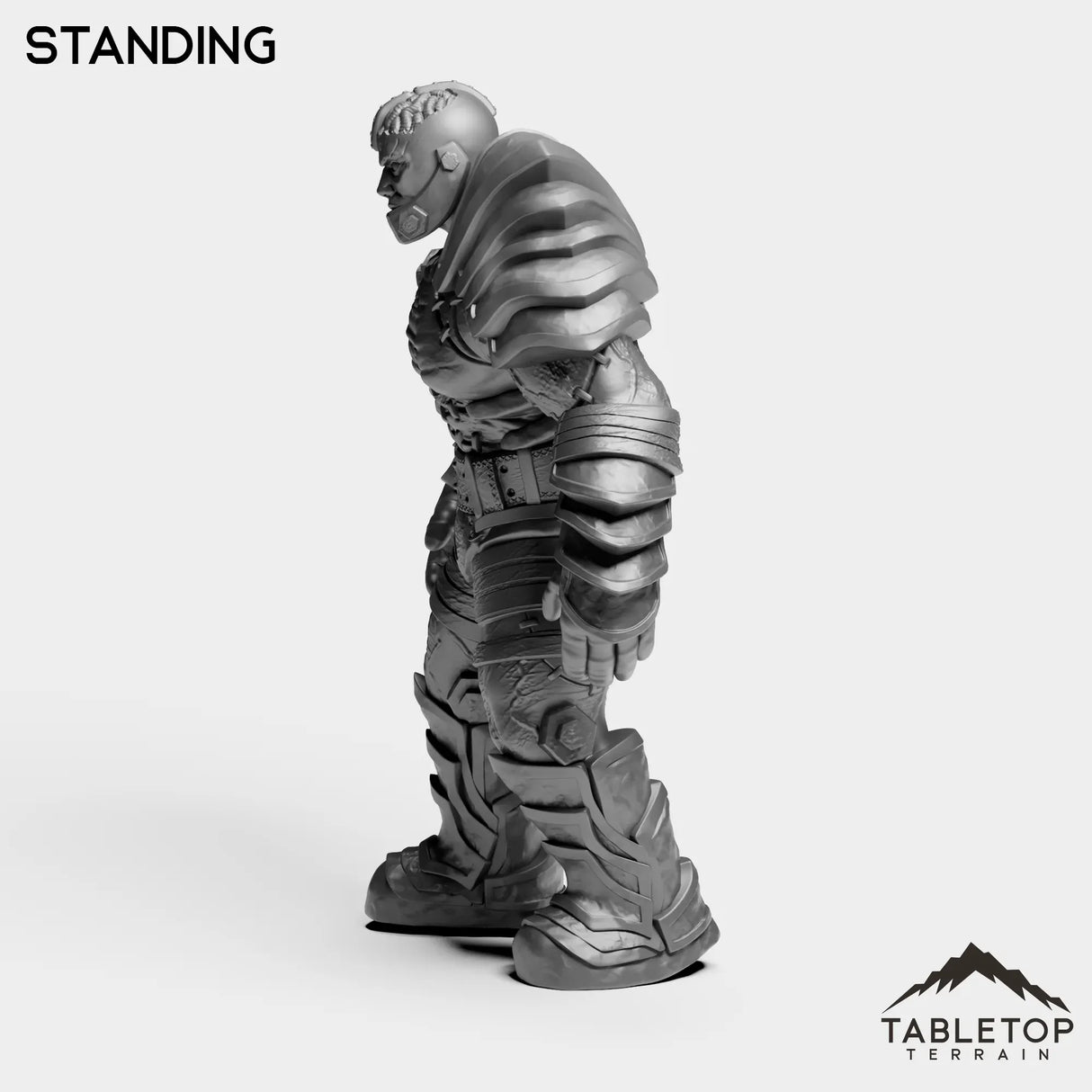 Tabletop Terrain Miniature Construct Leader