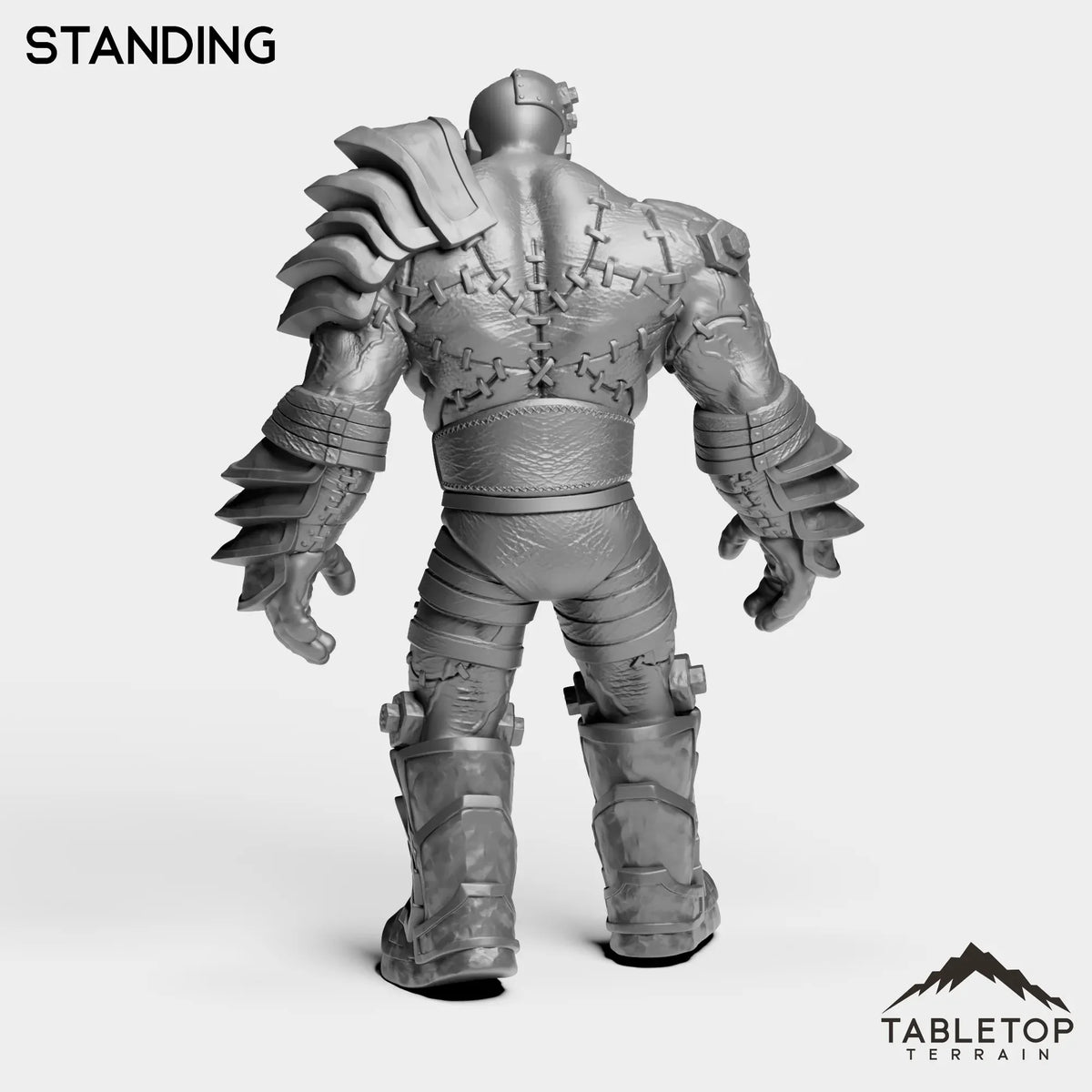 Tabletop Terrain Miniature Construct Leader