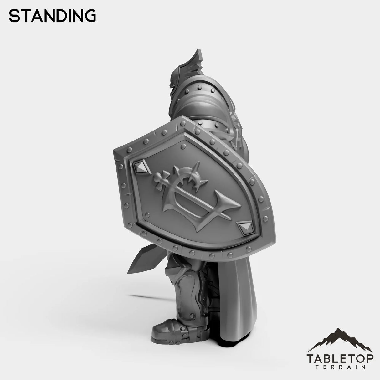 Tabletop Terrain Miniature Culled Knights Captain