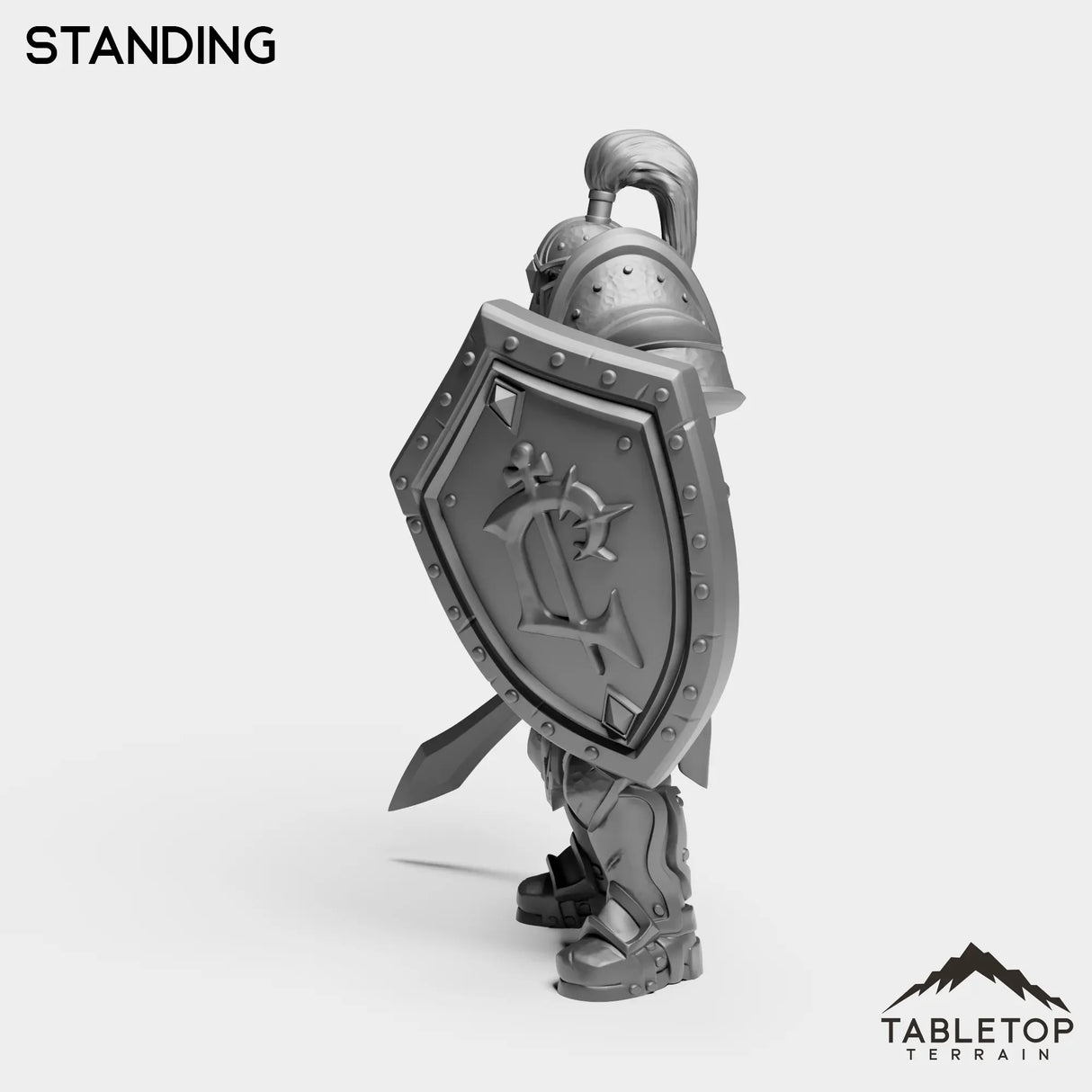 Tabletop Terrain Miniature Culled Knights Footman