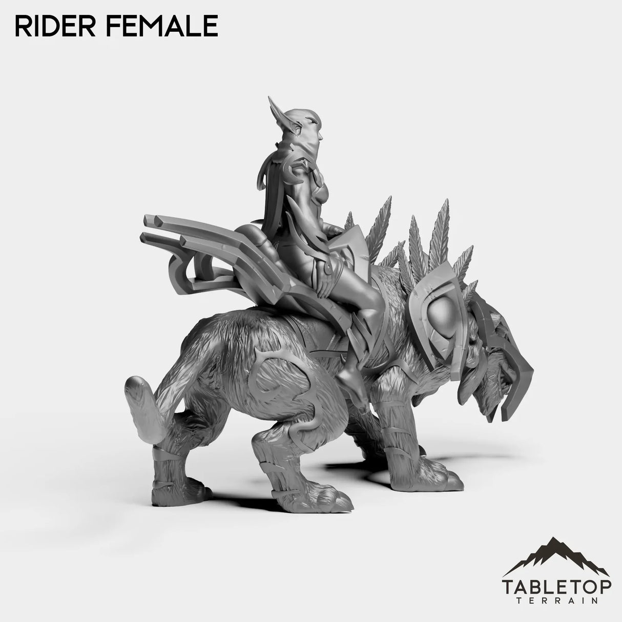 Tabletop Terrain Miniature Darkness First Arcanist Rider