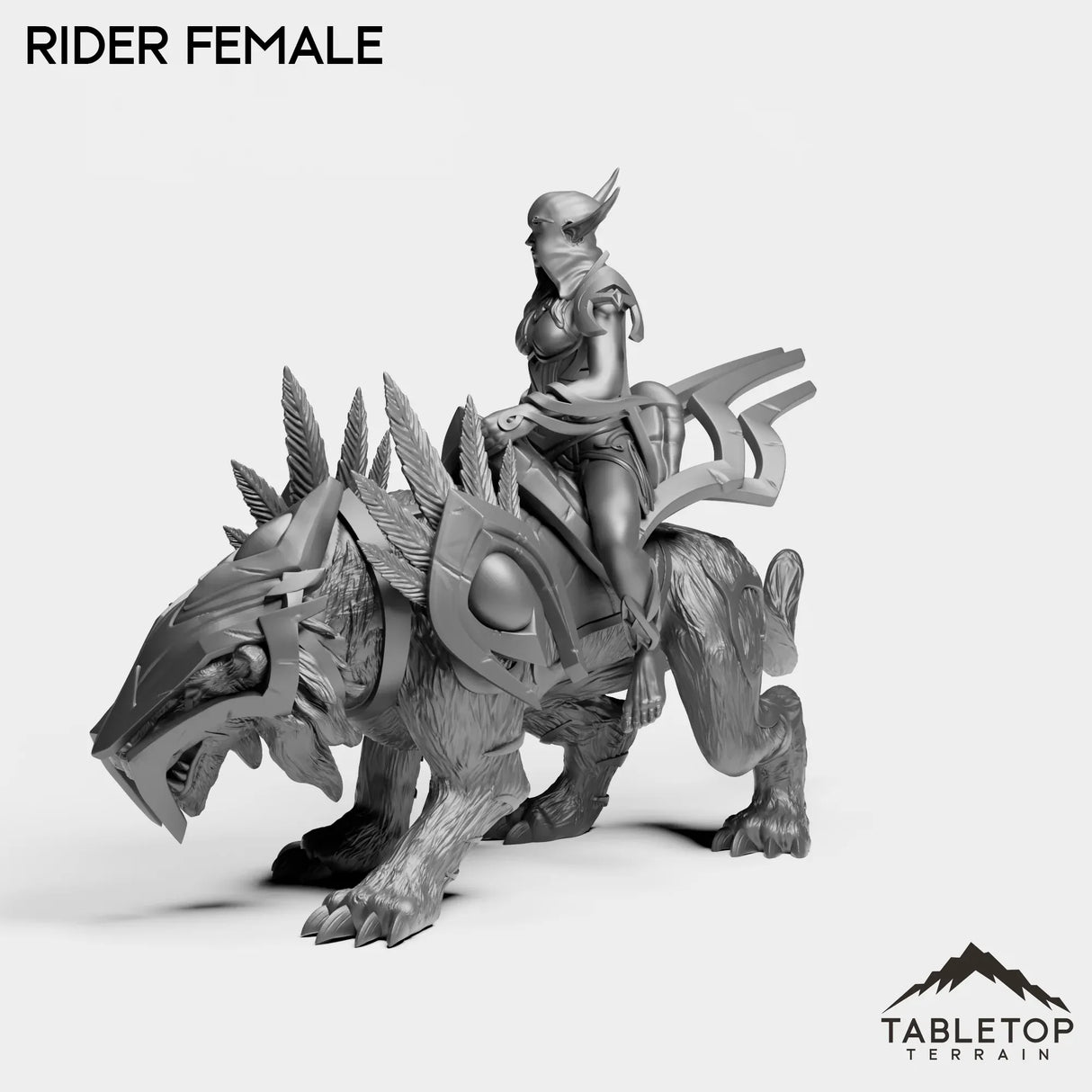 Tabletop Terrain Miniature Darkness First Arcanist Rider