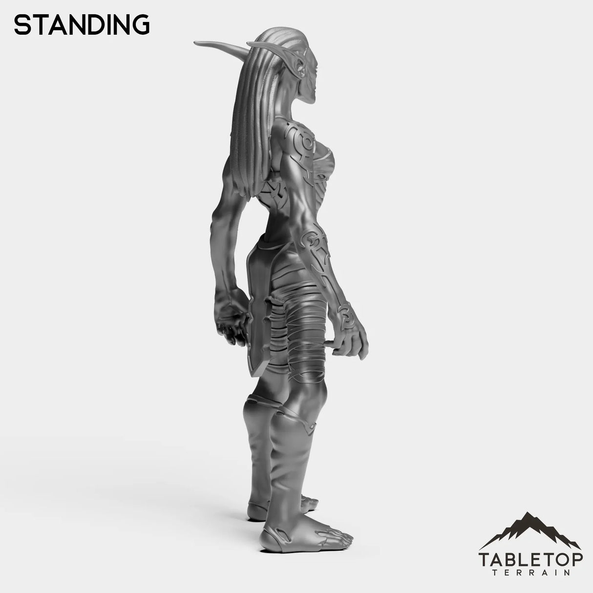 Tabletop Terrain Miniature Darkness Nightfallen Rebel Female