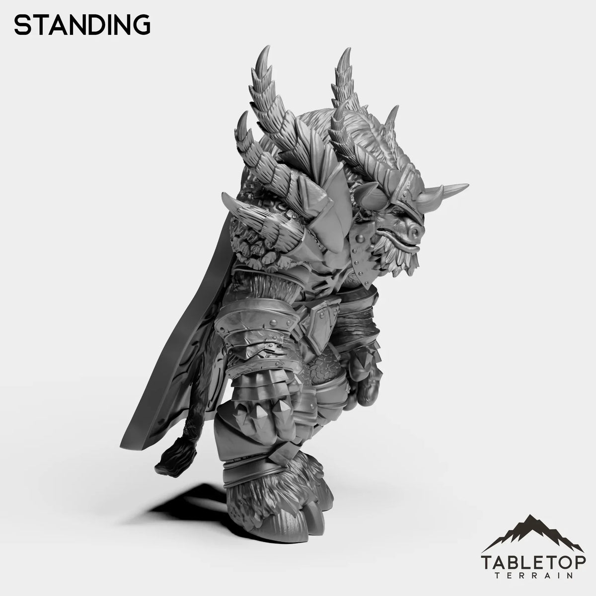 Tabletop Terrain Miniature Drake Master