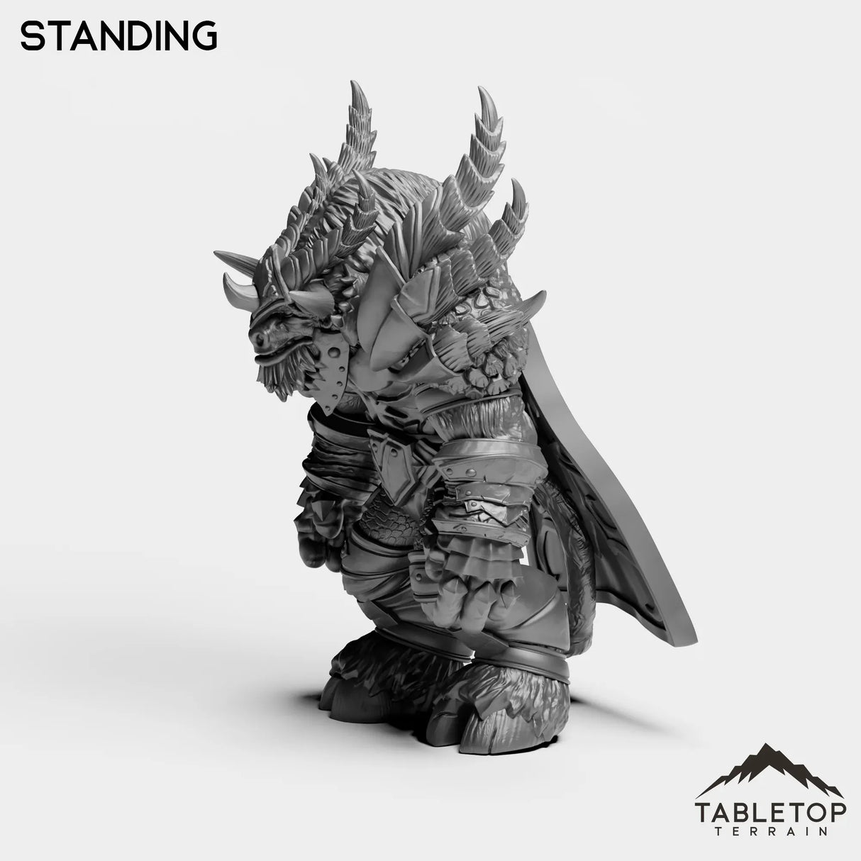 Tabletop Terrain Miniature Drake Master