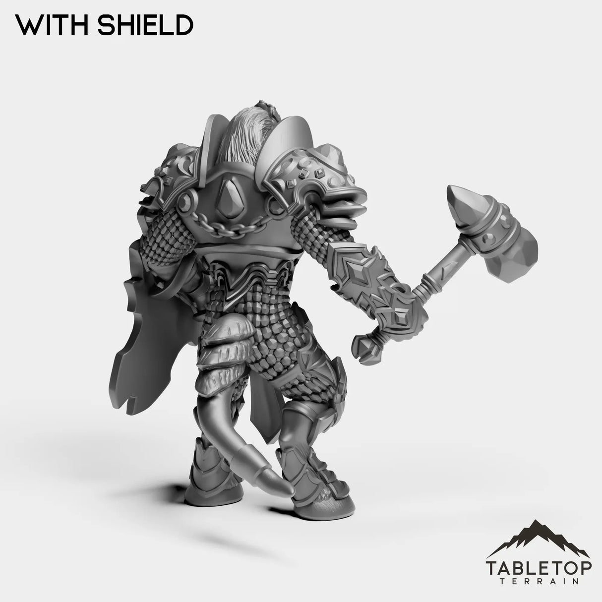 Tabletop Terrain Miniature Exiled Paladin