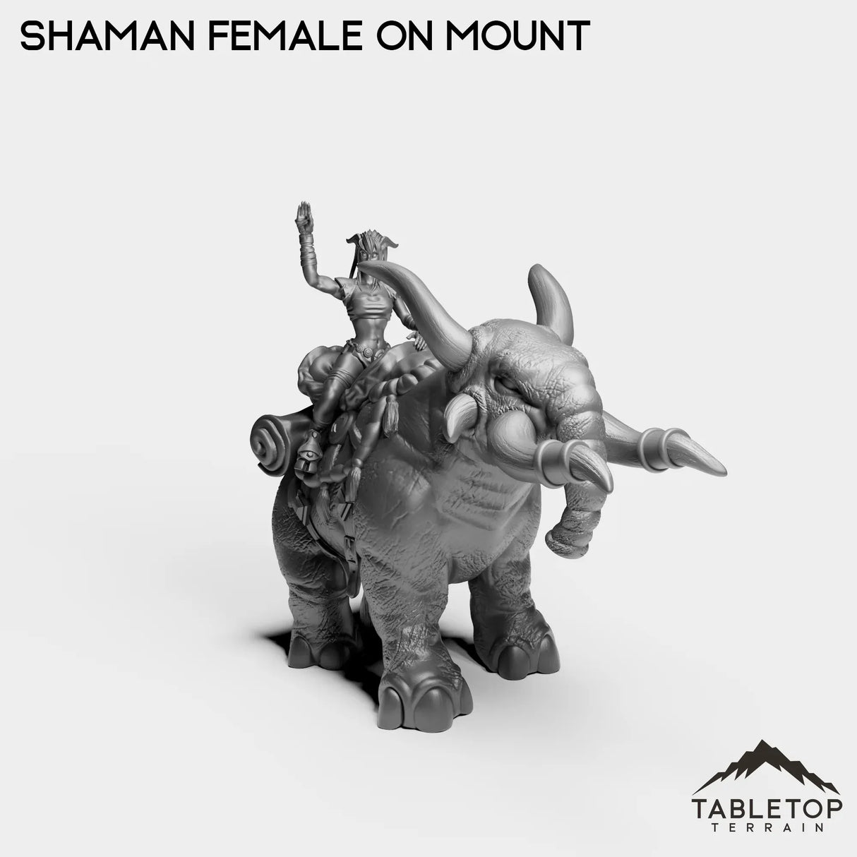 Tabletop Terrain Miniature Exiled Shaman Female on Mount