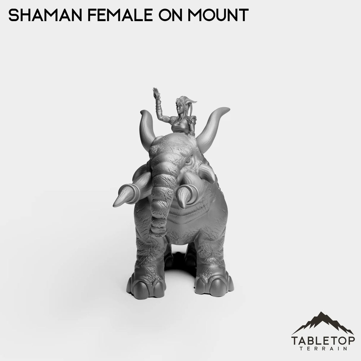 Tabletop Terrain Miniature Exiled Shaman Female on Mount