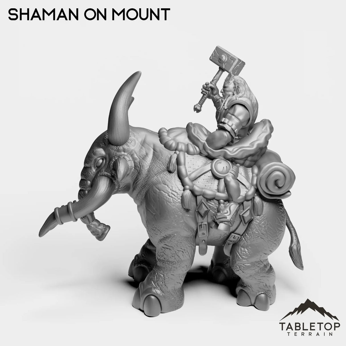 Tabletop Terrain Miniature Exiled Shaman on Mount