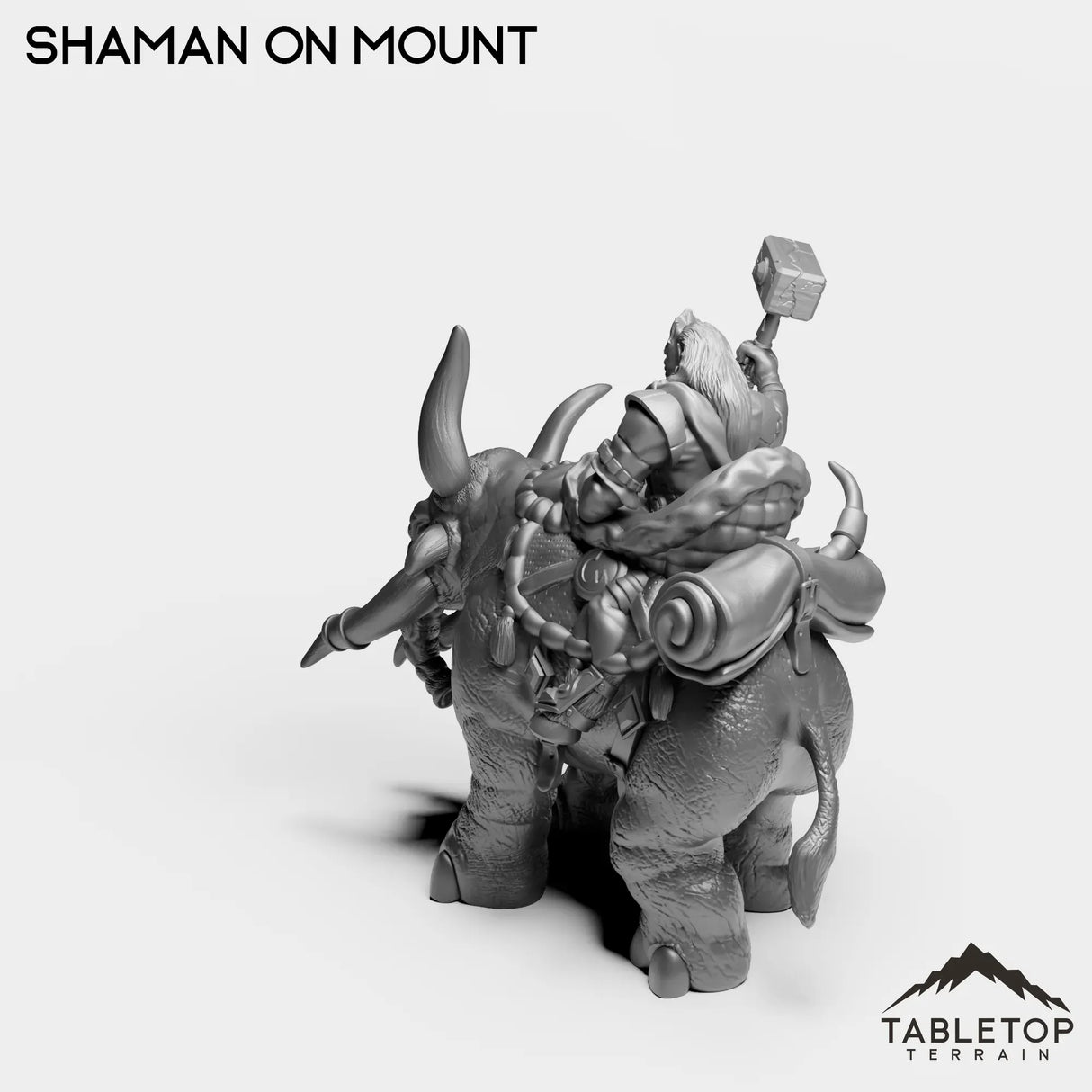 Tabletop Terrain Miniature Exiled Shaman on Mount