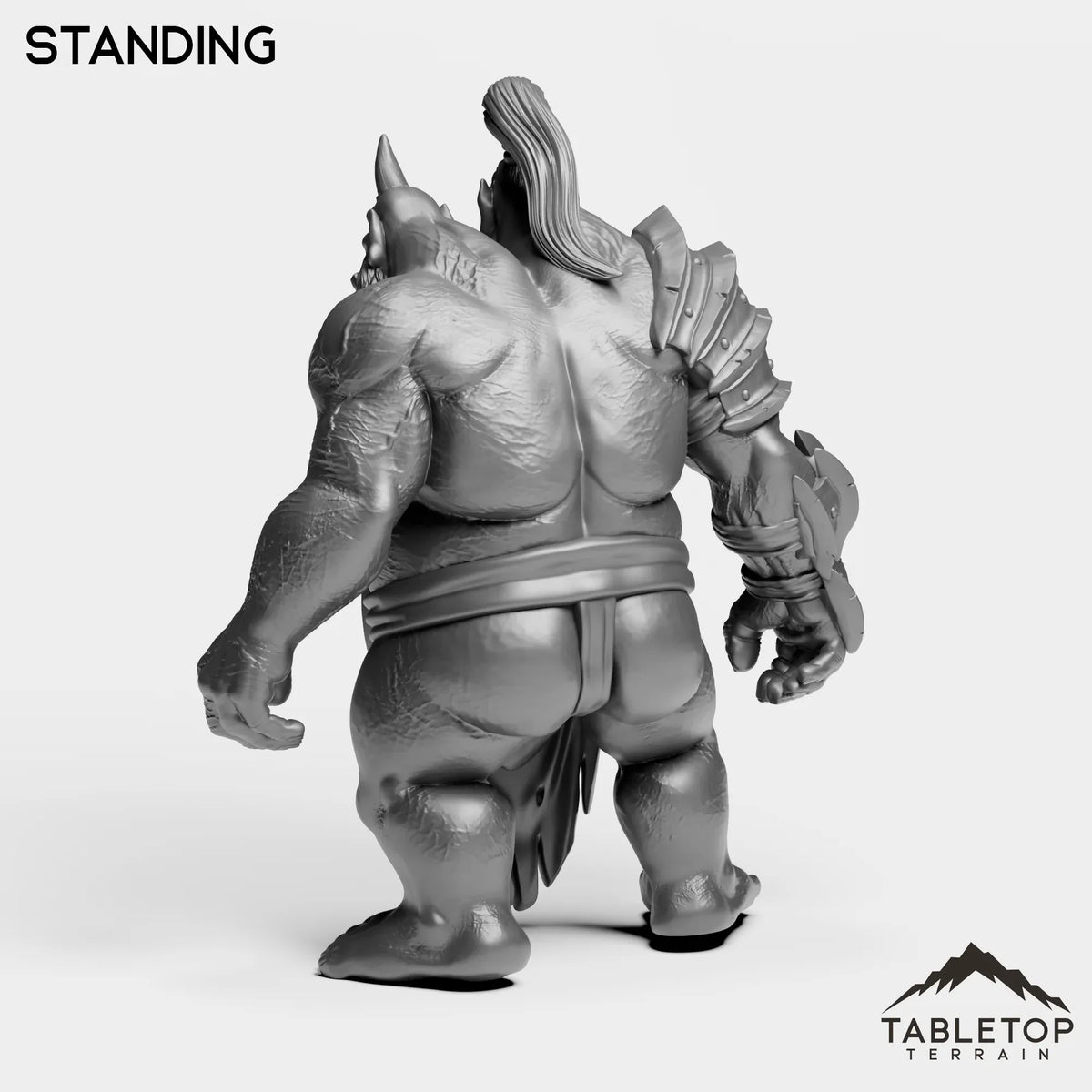 Tabletop Terrain Miniature Fallen Ogre High Mage