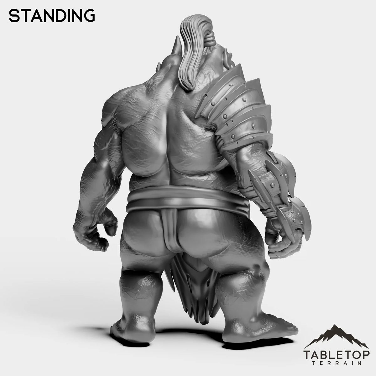 Tabletop Terrain Miniature Fallen Ogre High Mage