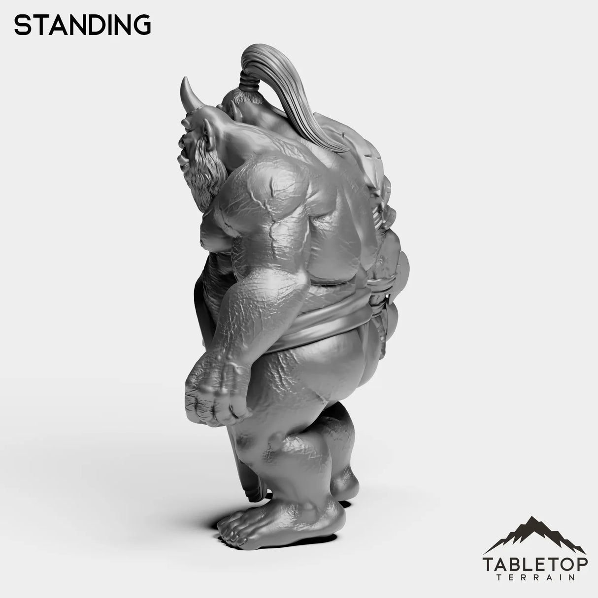 Tabletop Terrain Miniature Fallen Ogre High Mage