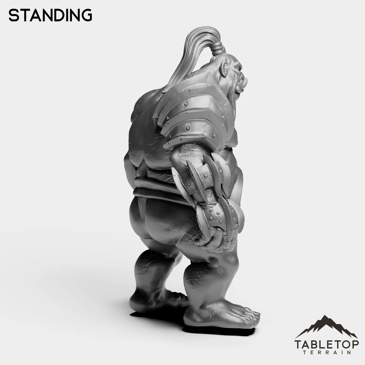 Tabletop Terrain Miniature Fallen Ogre High Mage