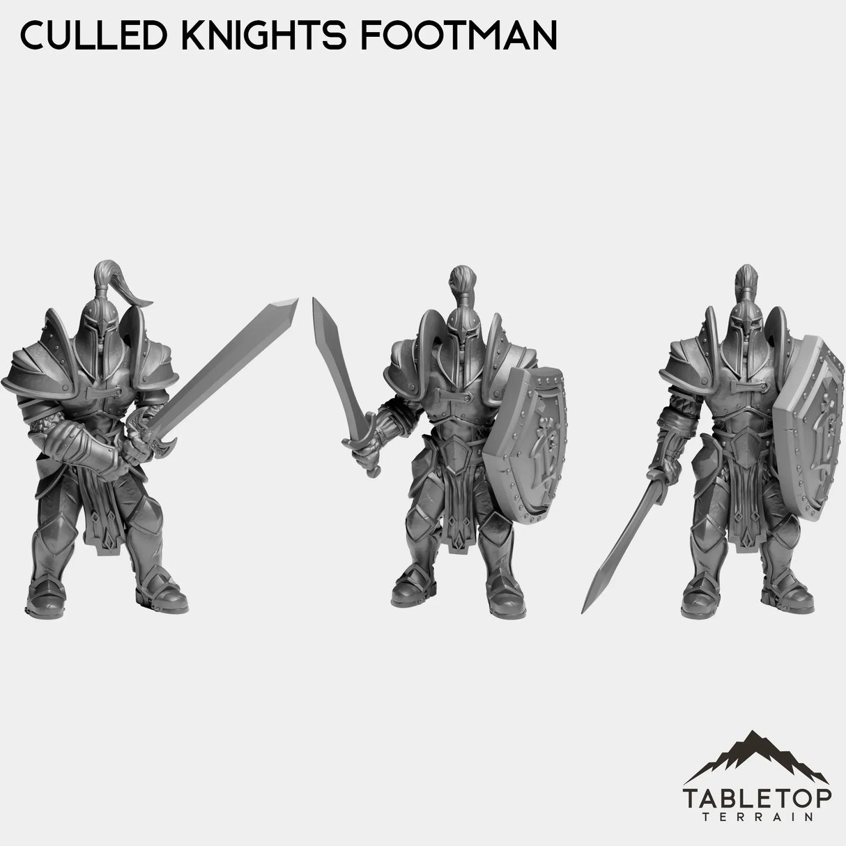 Tabletop Terrain Miniature Full Set Culled Knights Footman